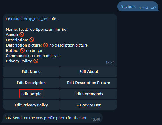 Кнопка «Edit Botpic»